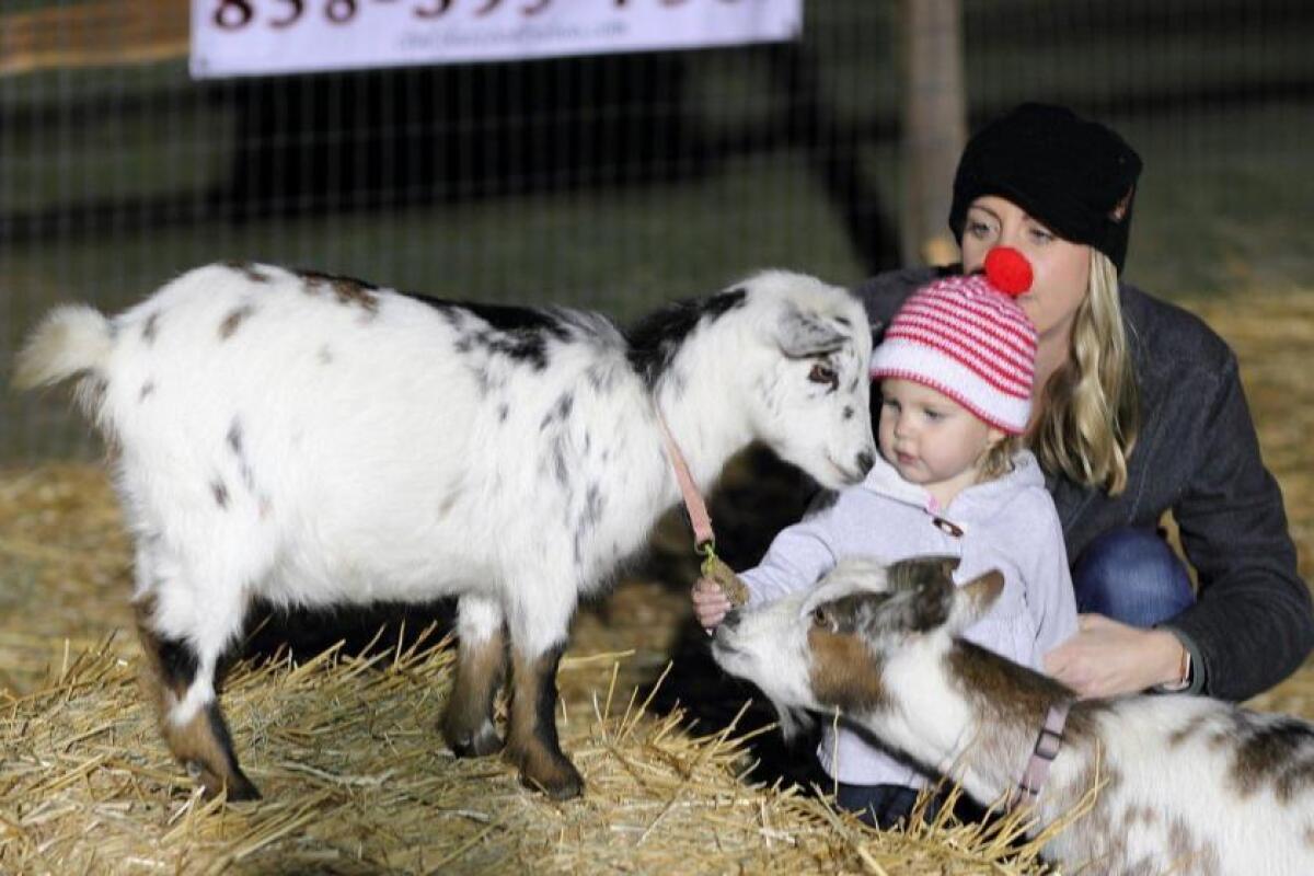 Guests enjoy a visit with goats in the petting zoo at last year’s Living Nativity event.