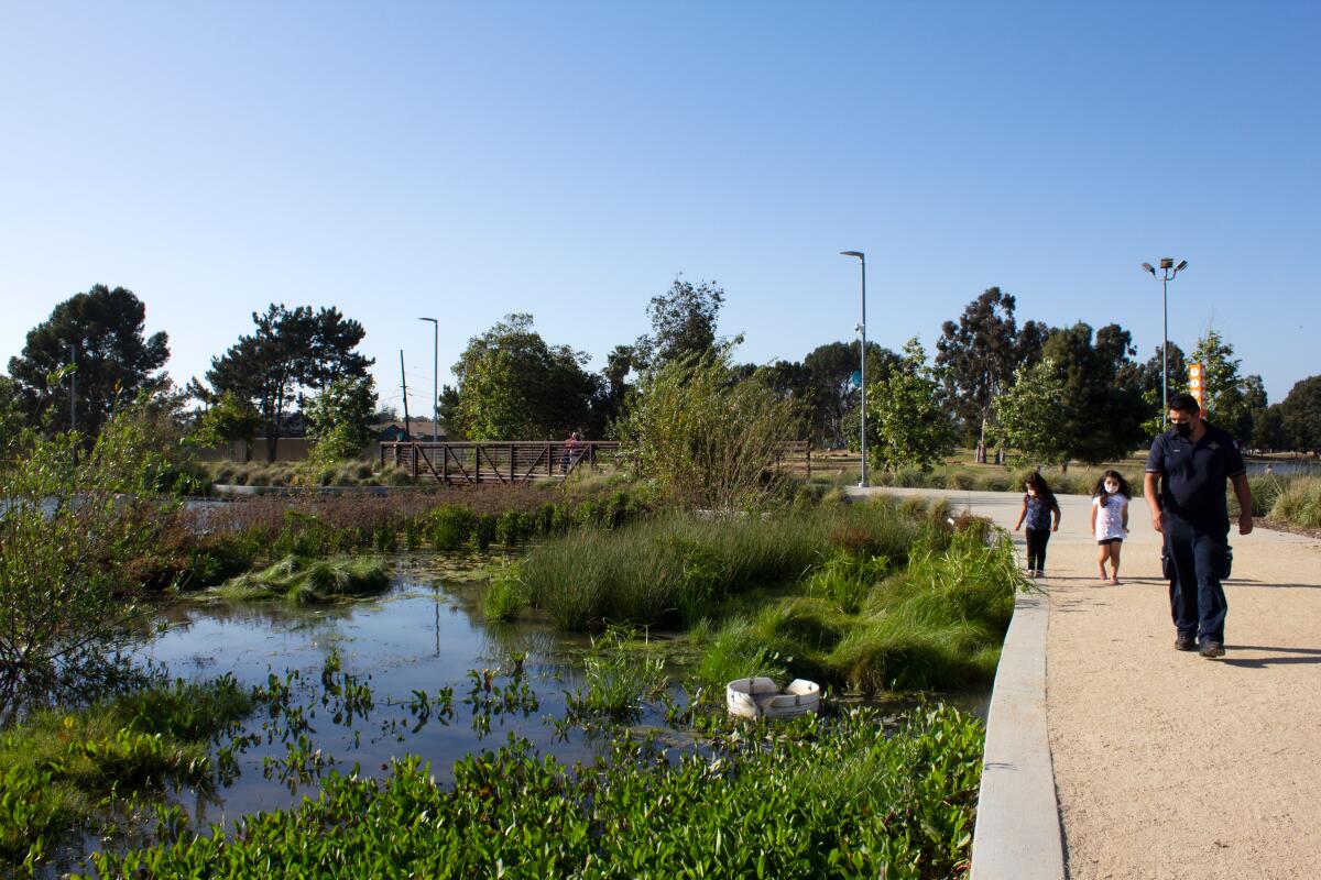 A curving gravel-lined path borders a lake planted with wetlands