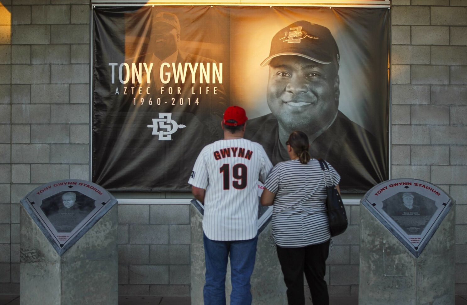 Poway Tony Gwynn memorial slow to take shape - The San Diego Union