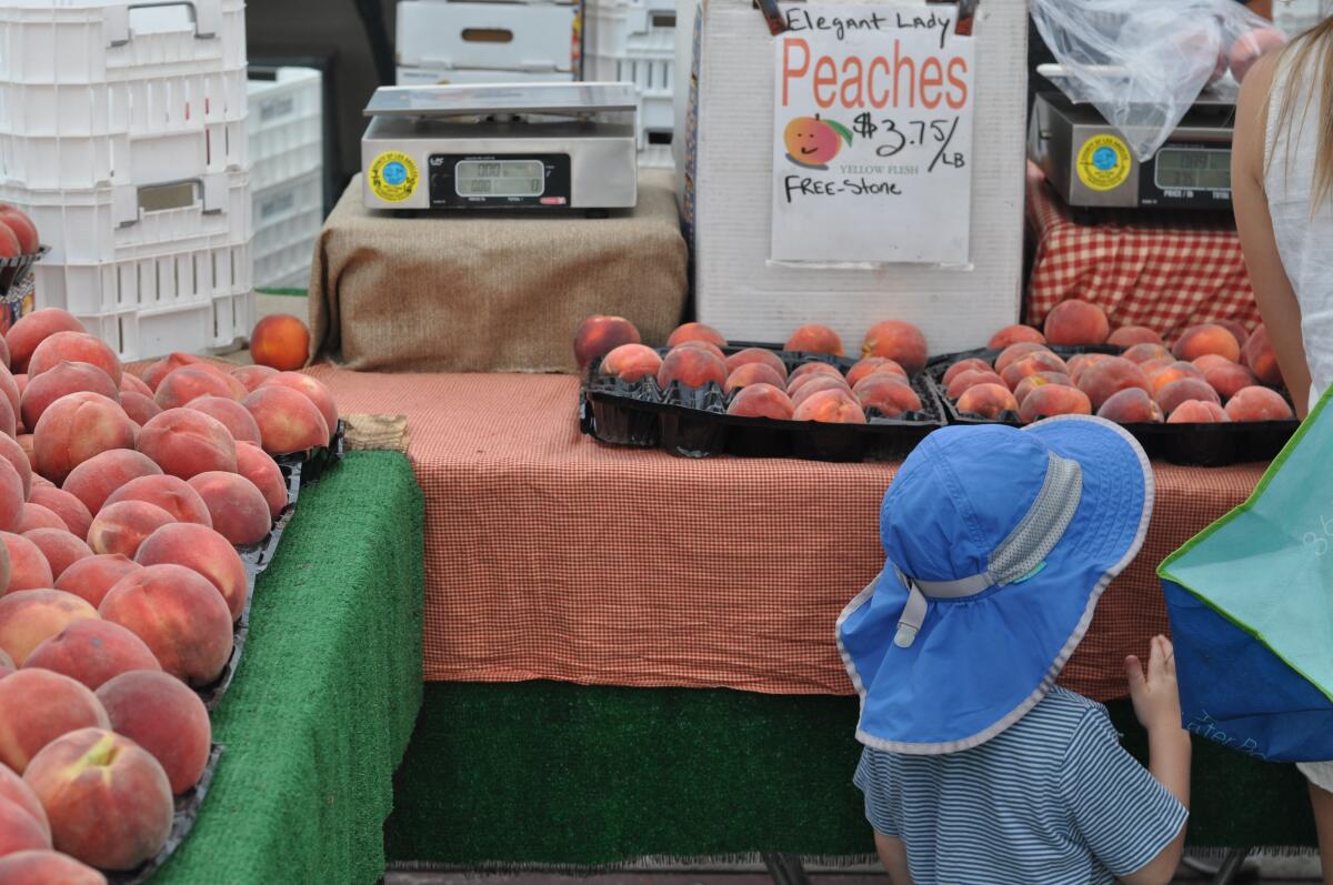 Peaches at the Tenerelli Orchards farmers market stand