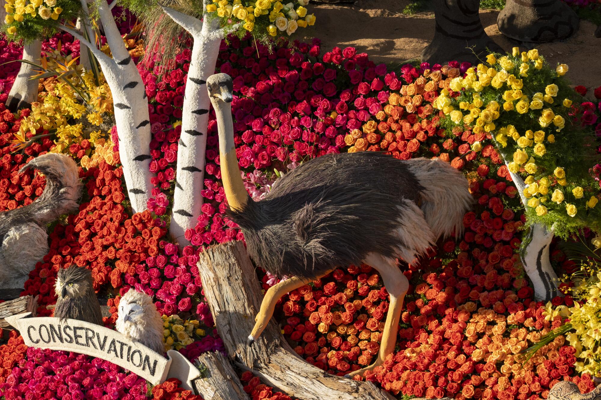 The float from "Mutual of Omaha's Wild Kingdom."