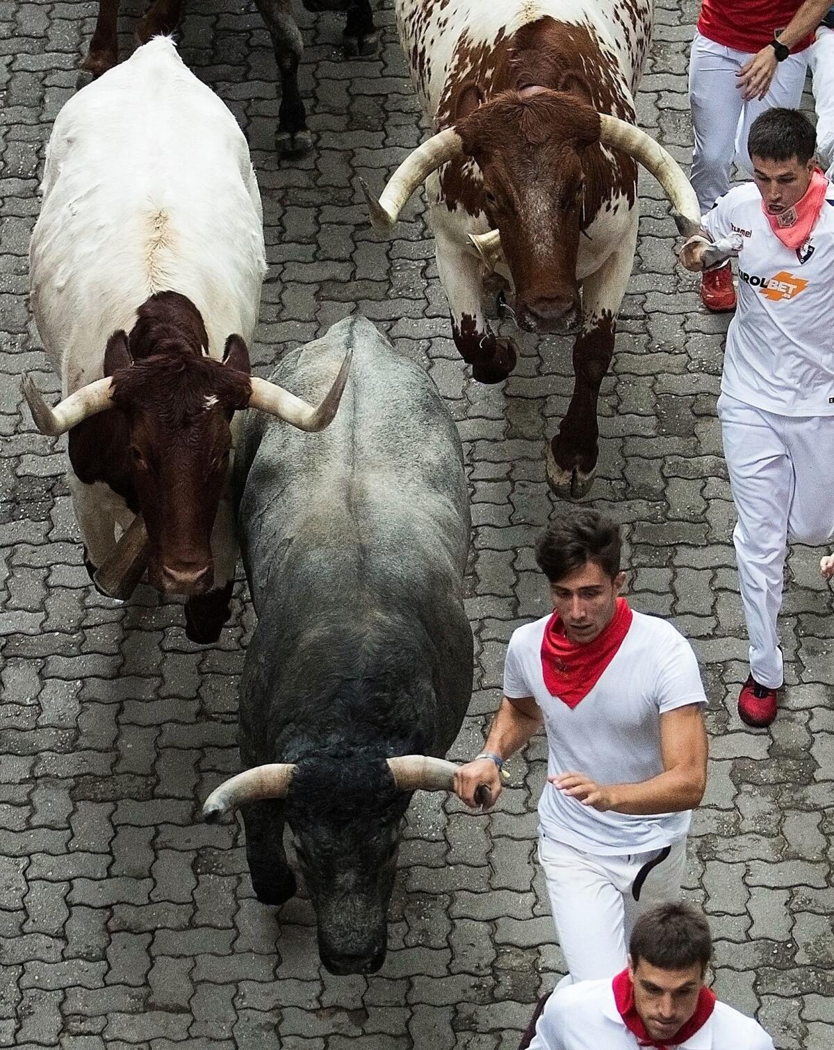 Participants and bulls are inches apart during the third bull run of the Fiesta de San Fermin in Pamplona, Spain.