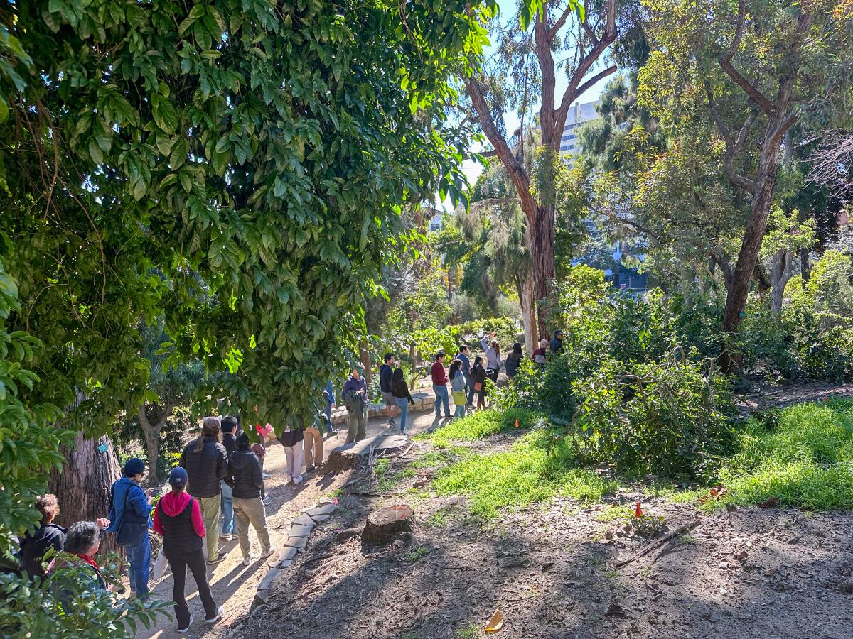 Visitors on a free guided tour of UCLA's public garden.