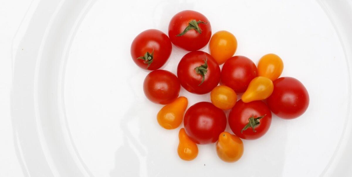 Tomatoes are Californian's first choice when it comes to vegetable seeds, according to Burpee catalog.