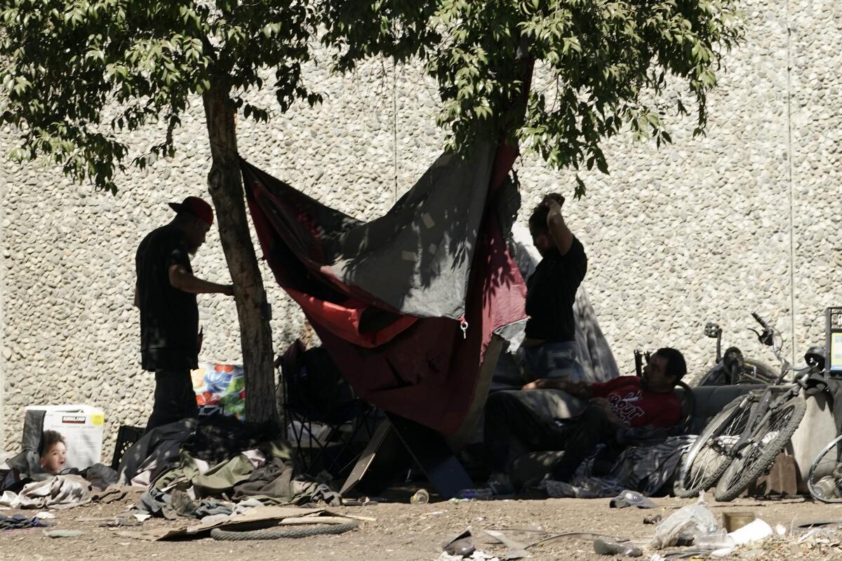 A homeless encampment shaded by a tree in Sacramento