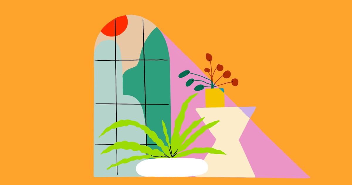 The 10 Best Indoor Plants For Full Sun Los Angeles Times