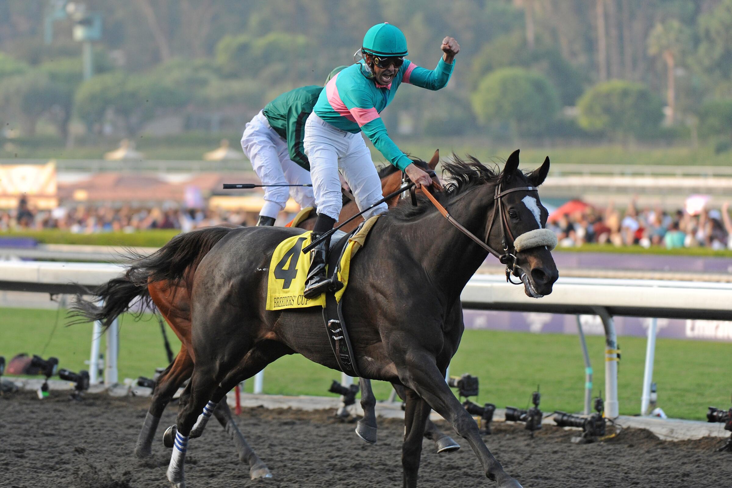 Jockey Mike Smith celebrates after riding Zenyatta to victory in the $5-million Breeders' Cup Classic at Santa Anita Park.