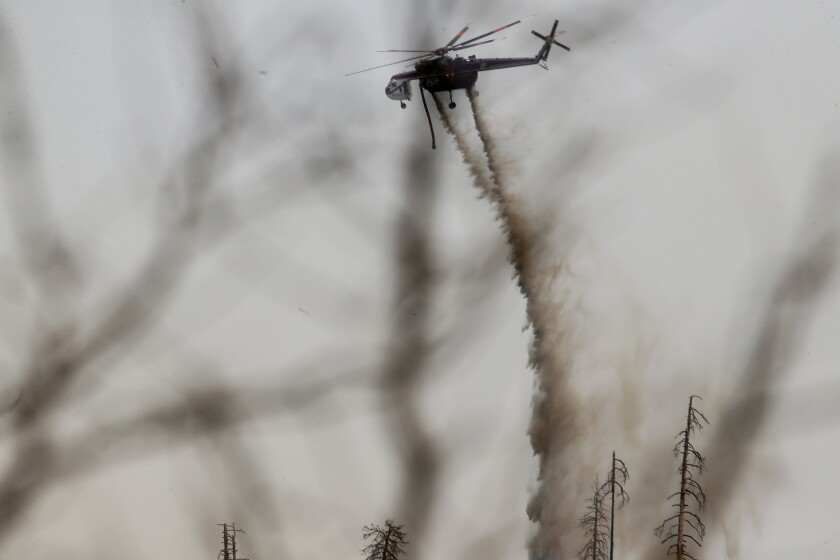 A fire helicopter is framed by charred tree branches as it drops water on the Oak fire 
