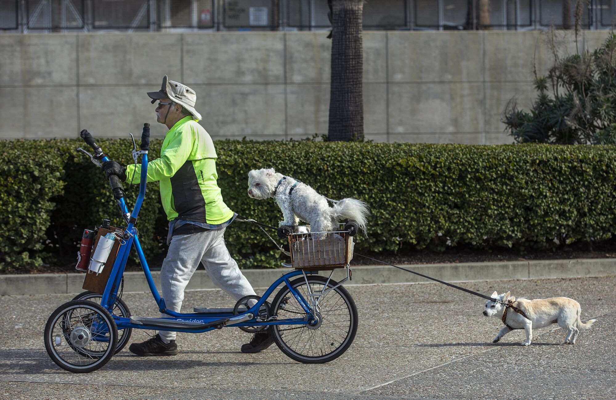Jose Perez and two dogs make their way along a bike path