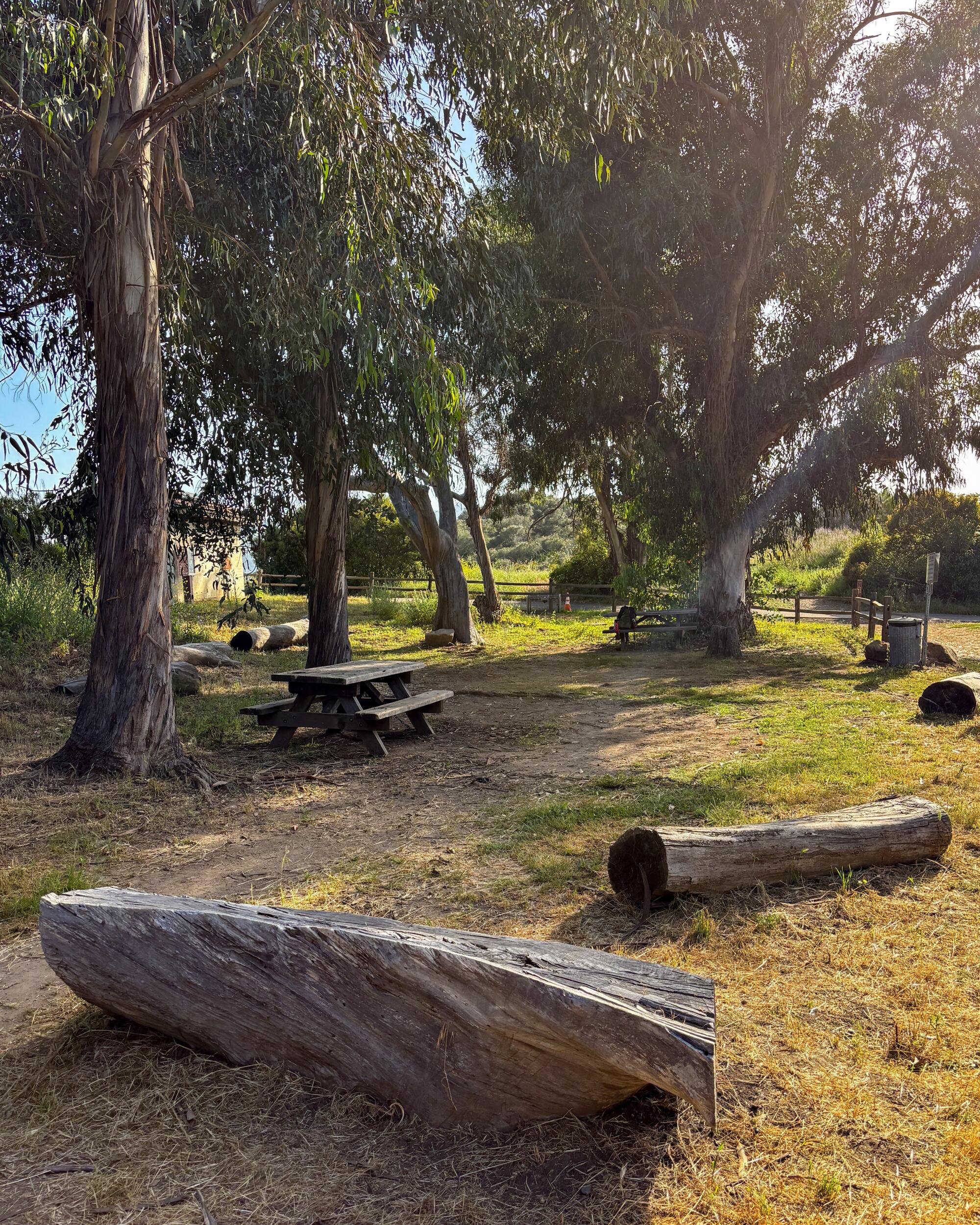 A primitive campground with picnic tables and logs for seats