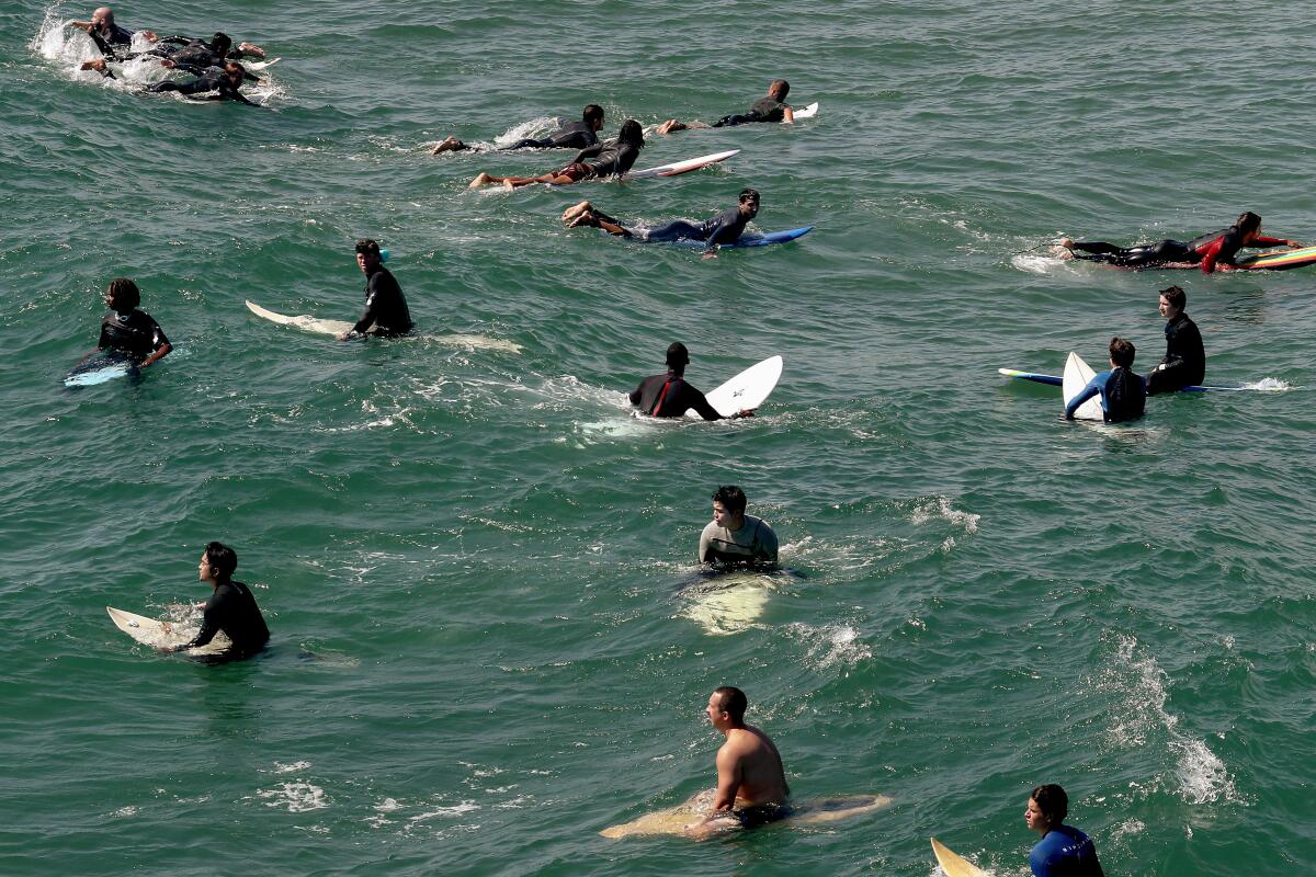 A crowd of surfers with their boards linger in the blue water.