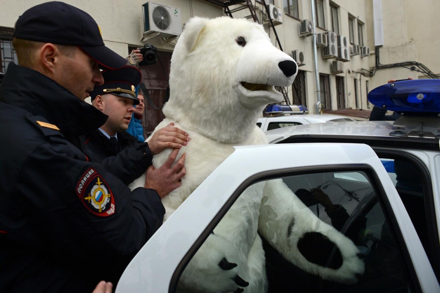 Polar bear protest