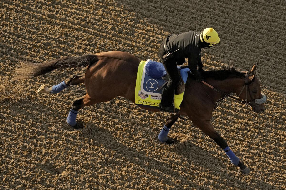 An aerial view of Kentucky Derby entrant Practical Move working out at Churchill Downs 