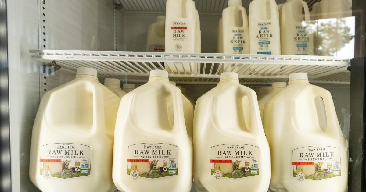 Authorities probe whether Marin County bird flu victim drank recalled raw milk Authorities probe whether Marin County bird flu victim drank recalled raw milk