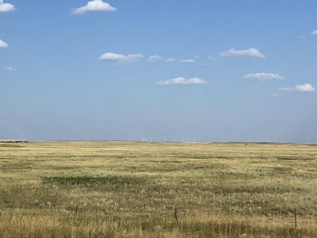 Wind turbines across a grassy plain