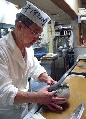 Tokyo chef Yutaka Sasaki begins preparing the daily catch: the poisonous blowfish, or fugu, which each year kills several Japanese who have eaten improperly prepared versions of it.