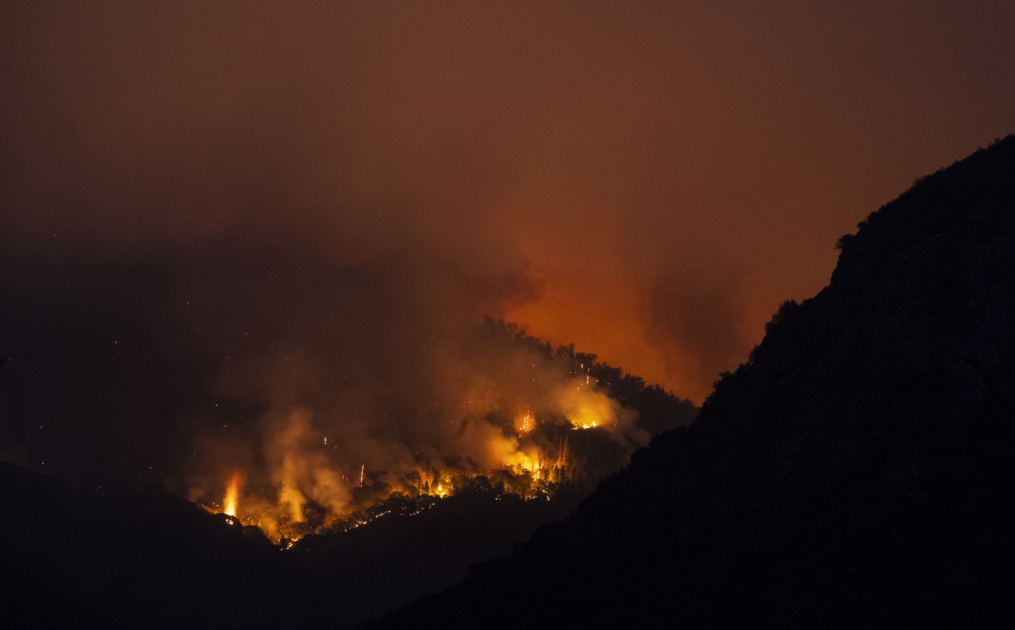 Flames glow on a forested hillside at night
