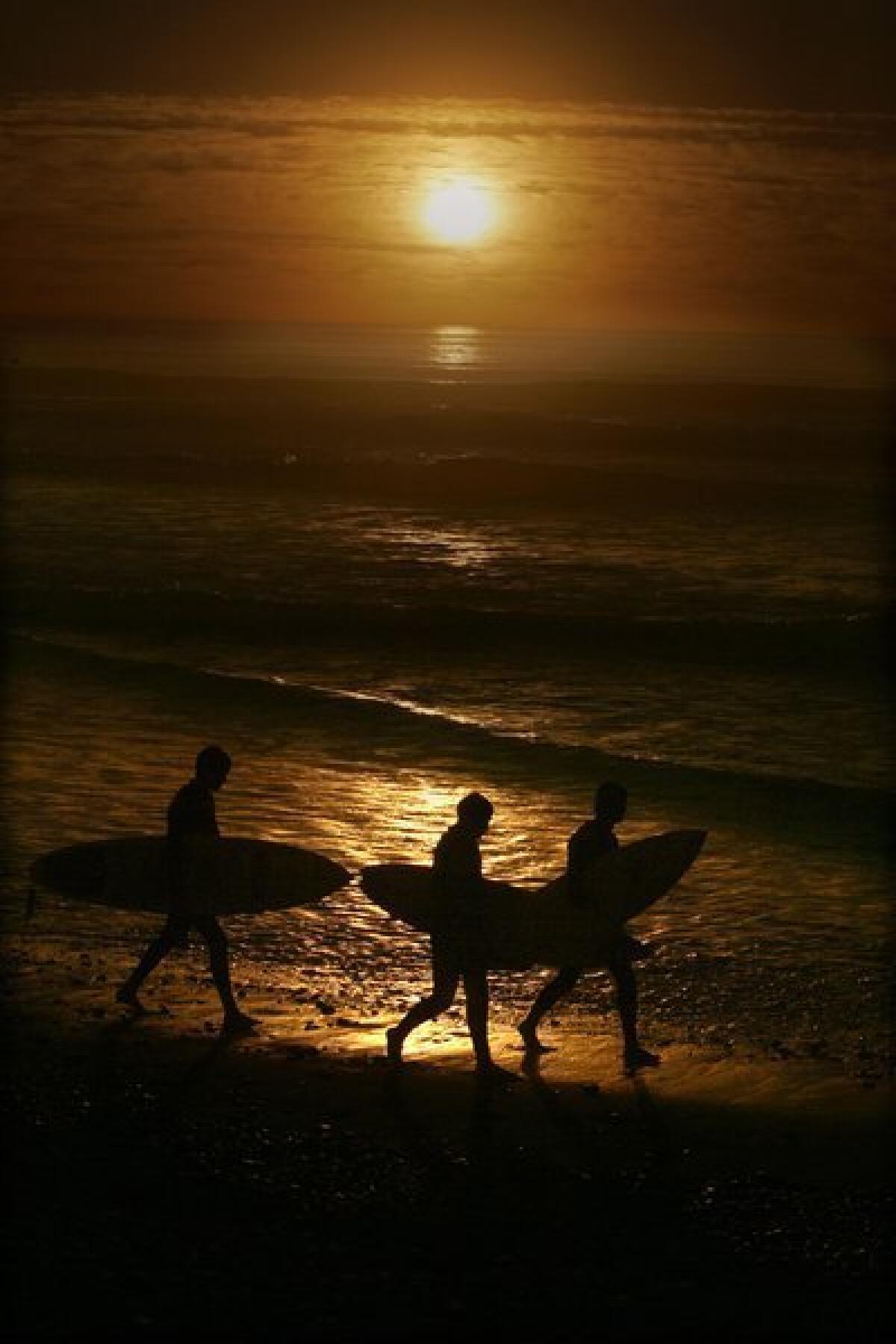 Surfers leave the water at Cardiff State Beach.