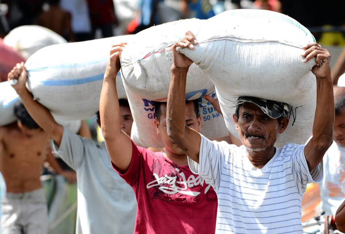 Survivors of Typhoon Haiyan carry away sacks of rice from a warehouse in the Philippines.