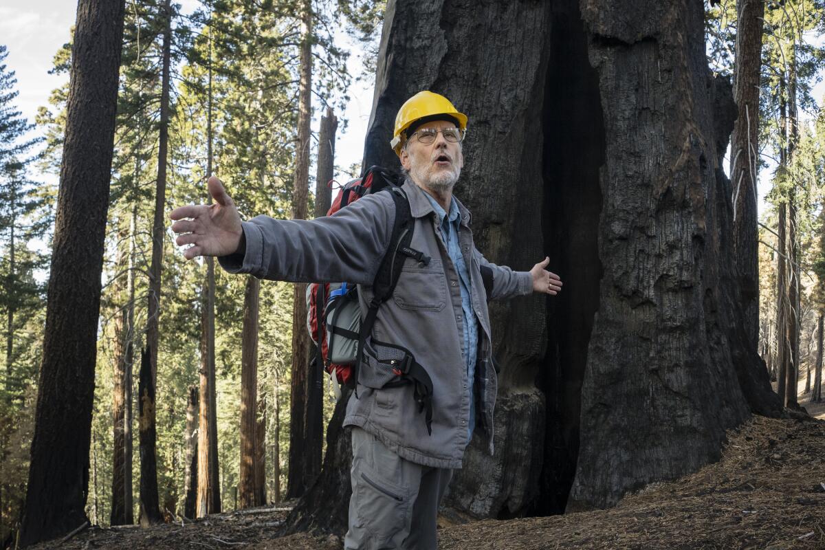 Nathan Stephenson speaks about the loss of giant sequoias in the Redwood Mountain Grove.