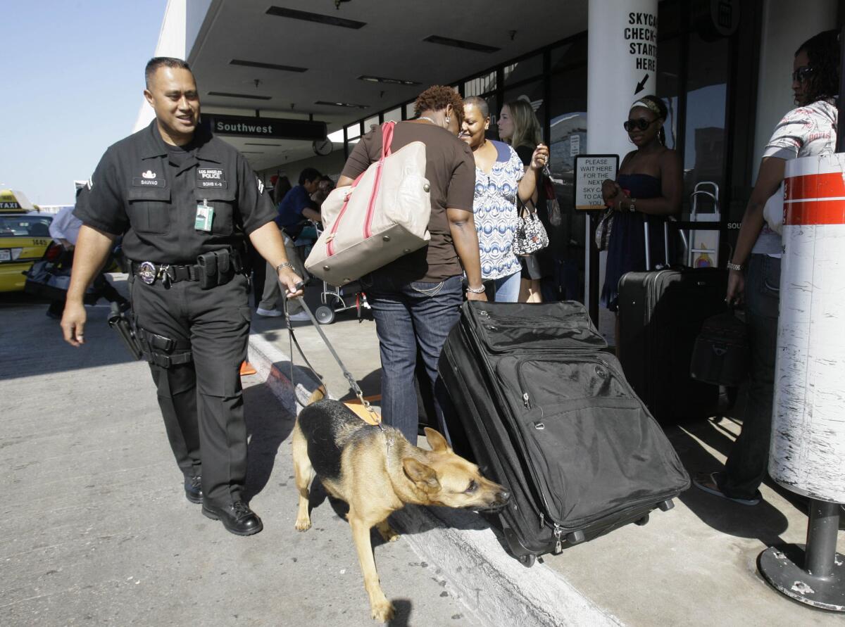 A police officer with a dog that is sniffing a suitcase outdoors.