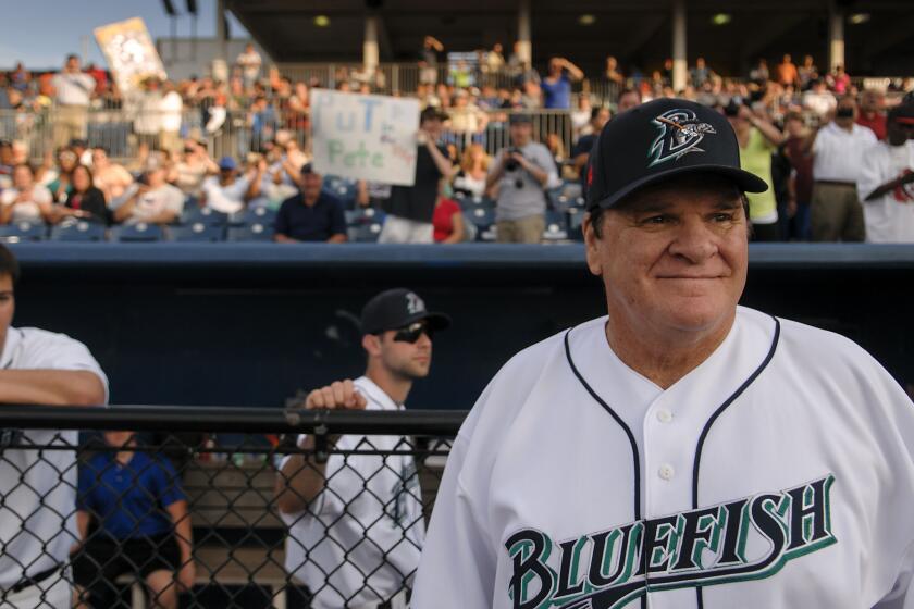 Baseball great Pete Rose, 73, looks out over the Bridgeport Bluefish diamond as his team takes the field.