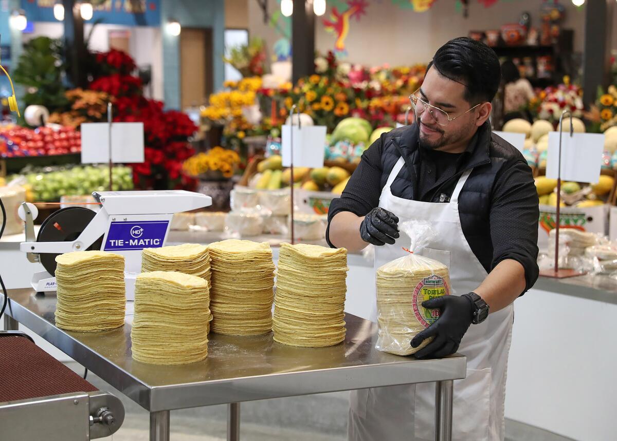 Fresh corn tortillas out of the oven are stacked in bags of hundreds.