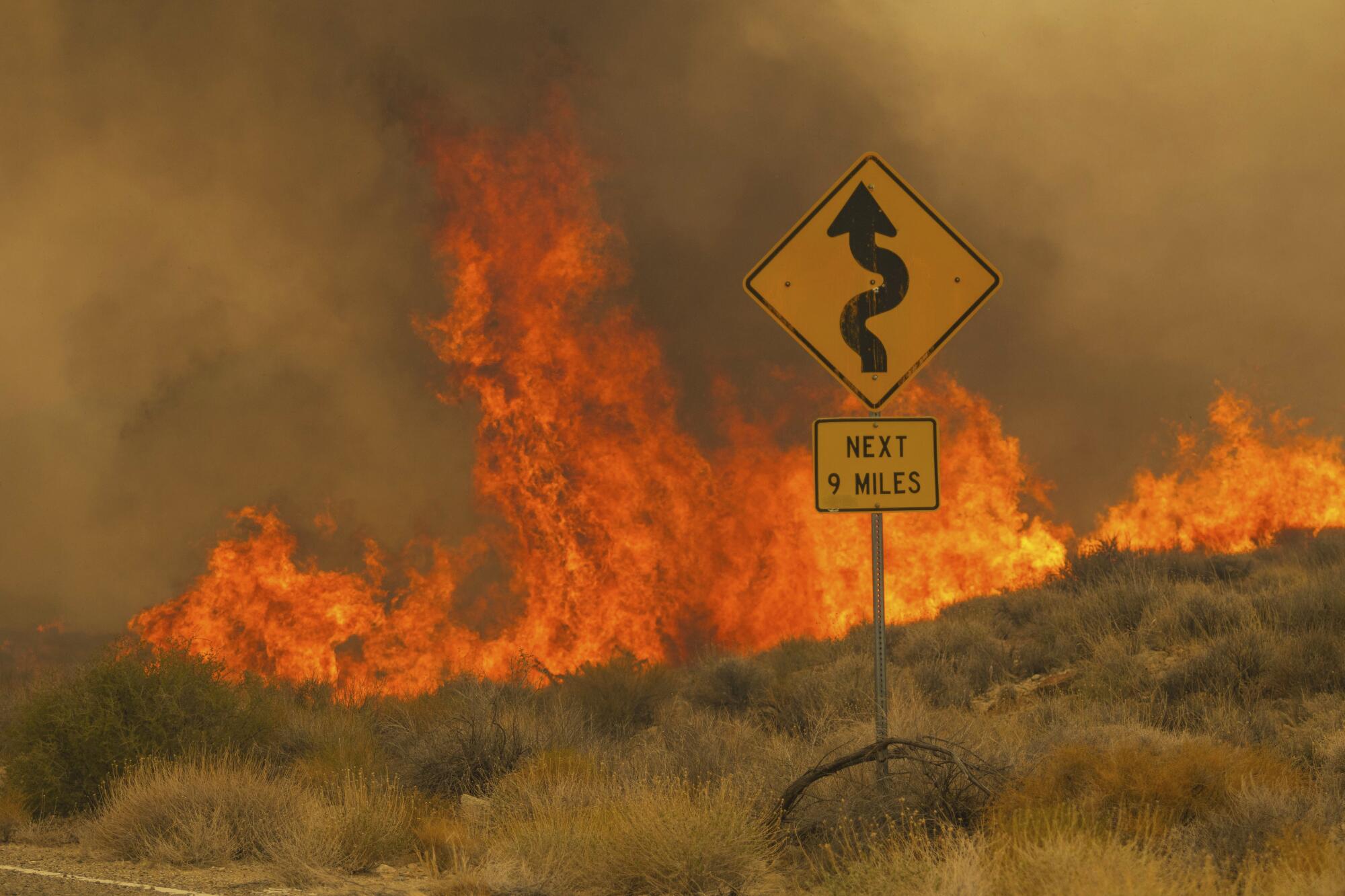 Flames rise from desert brush behind a street sign.