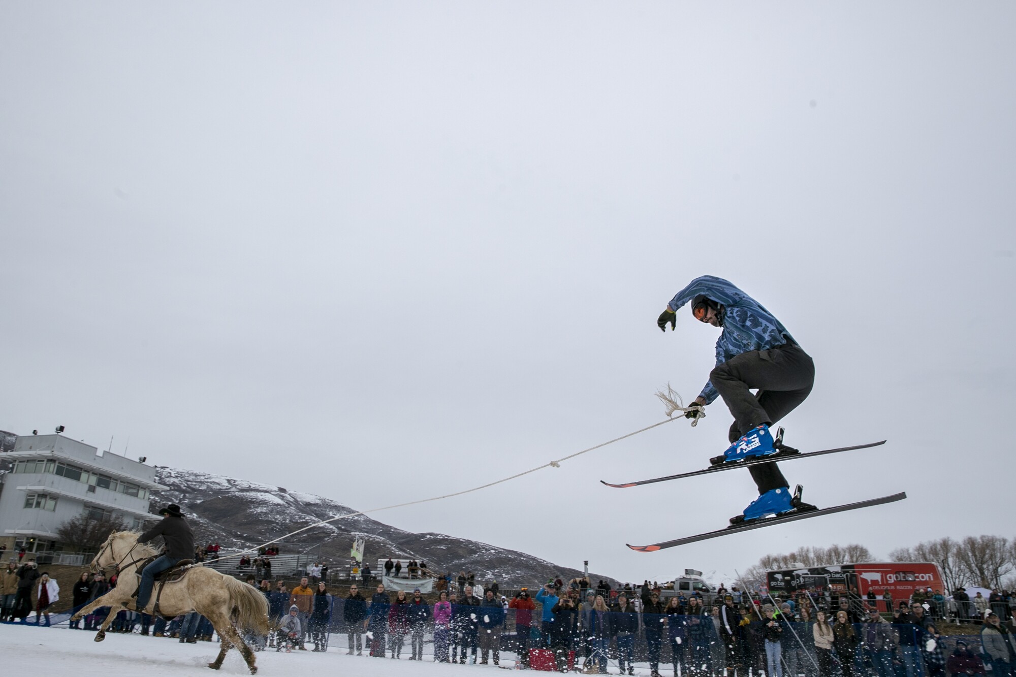 Skijoring features riders pulling skiers through an obstacle course at full speed.