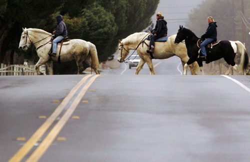 Storm moves in -- horses