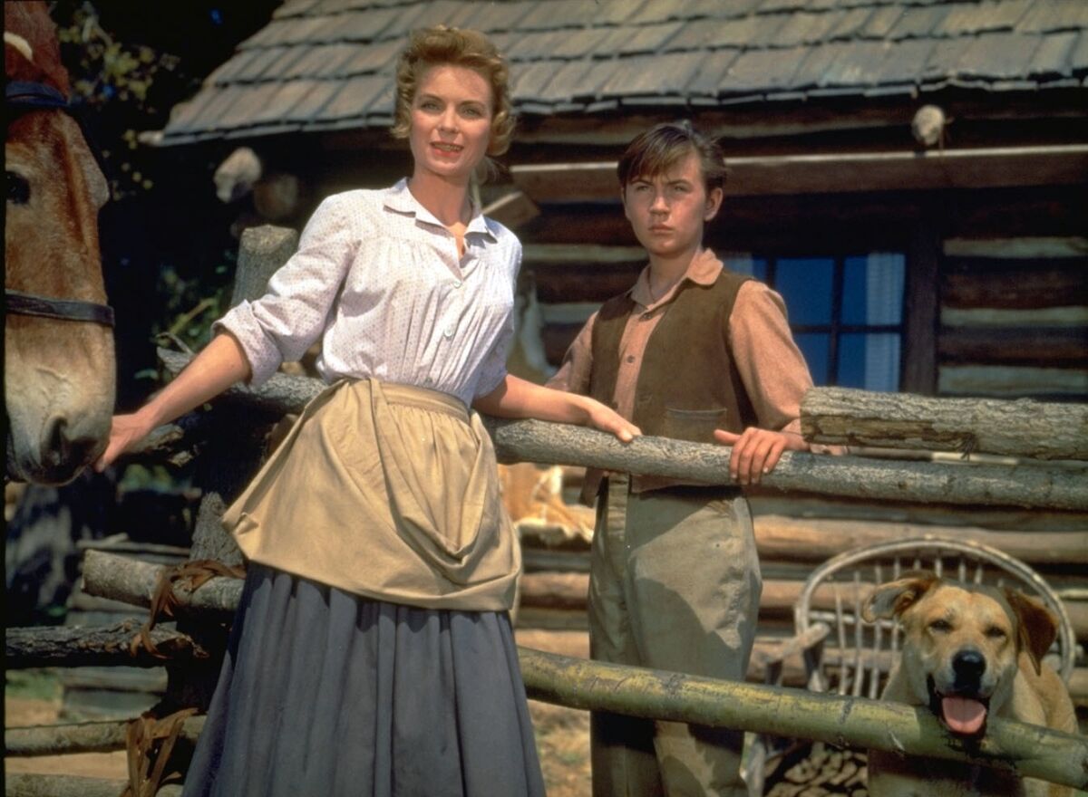  Dorothy McGuire, left, and Tommy Kirk in a scene from the 1957 classic 'Old Yeller'