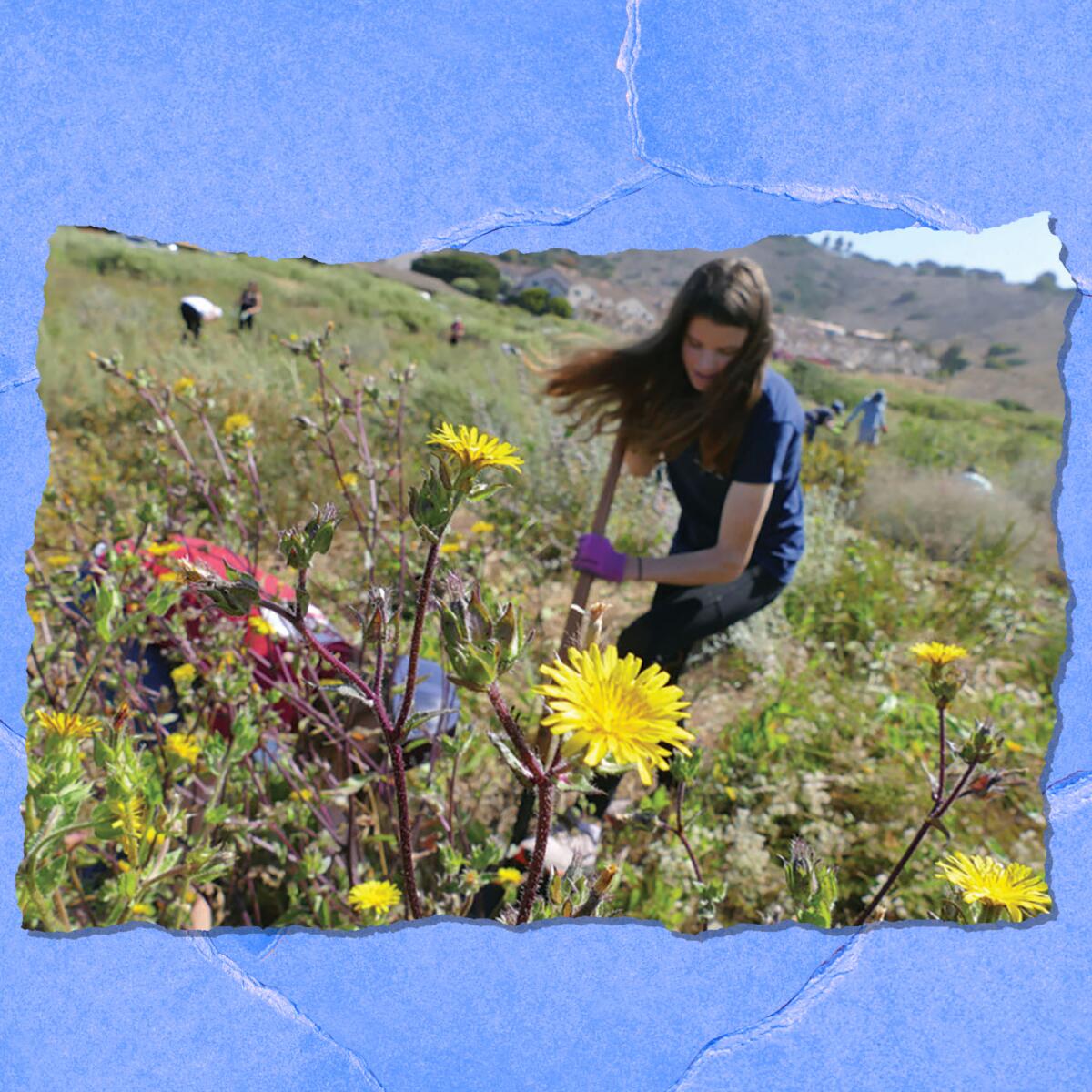 A young woman digs with a shovel in a field.