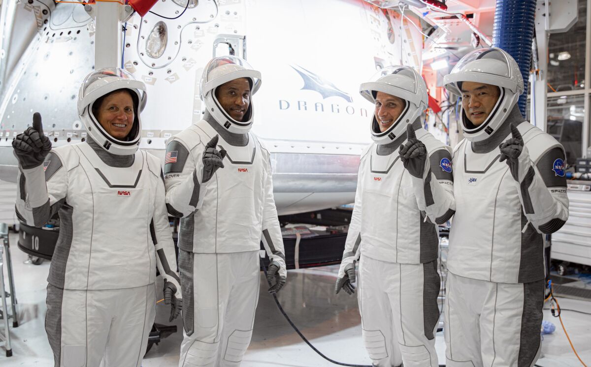 NASA and JAXA astronauts in front of a SpaceX Crew Dragon capsule