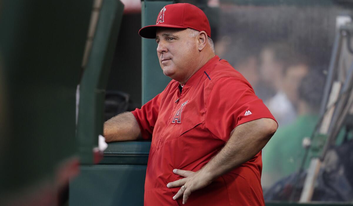 Says Angels Manager Mike Scioscia: "The potential’s there to get us where we need to be quickly."