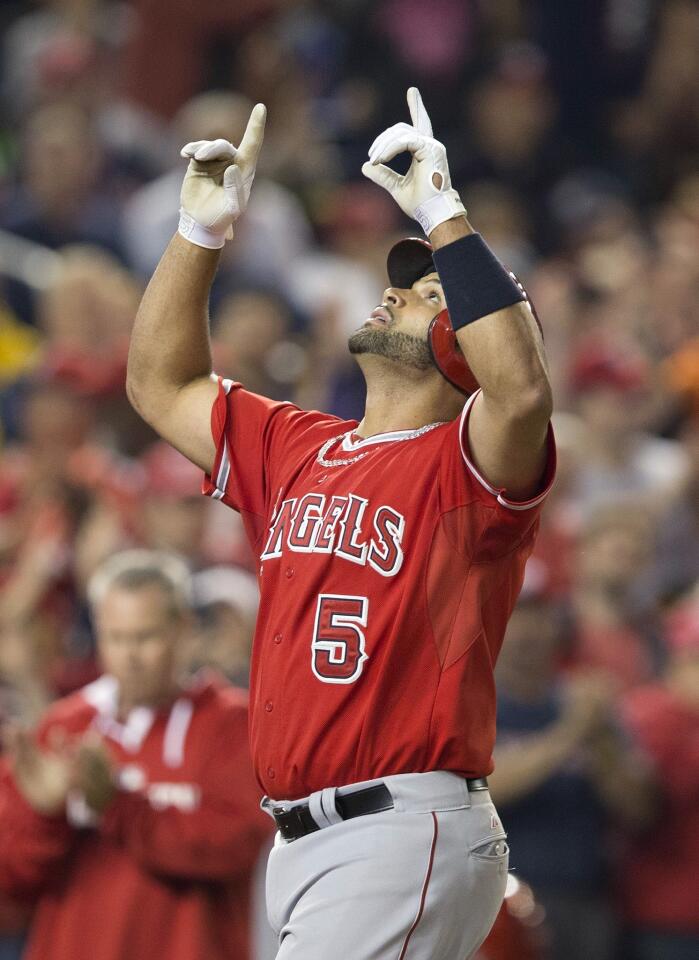 38 Albert Pujols Images, Stock Photos & Vectors