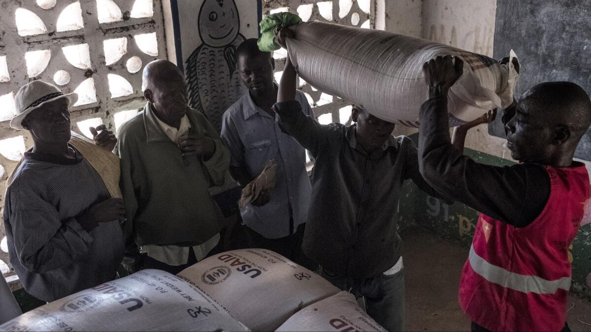 Bags of sorghum are distributed at a school in the village of Malikopo, which lies in Chikwawa -- one of the regions of Malawi most affected by drought.