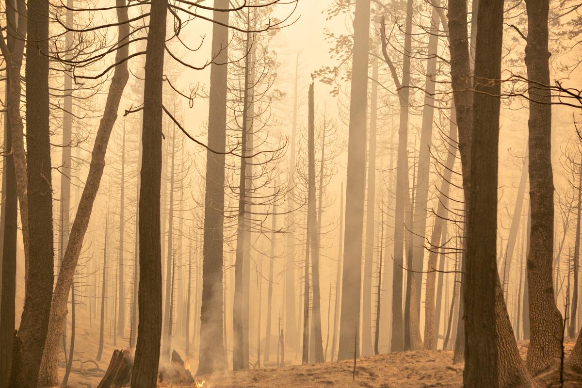  The Caldor fire's footprint continues to expand southwest of the Lake Tahoe Basin.