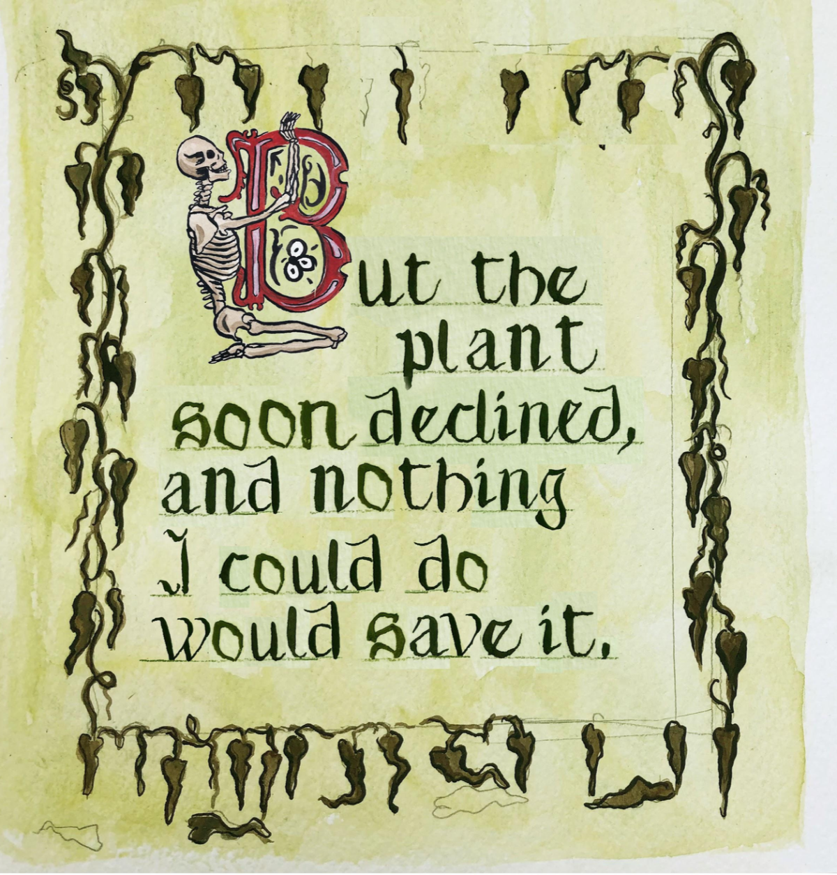 "But the plant soon declined and nothing i could do would save it."
