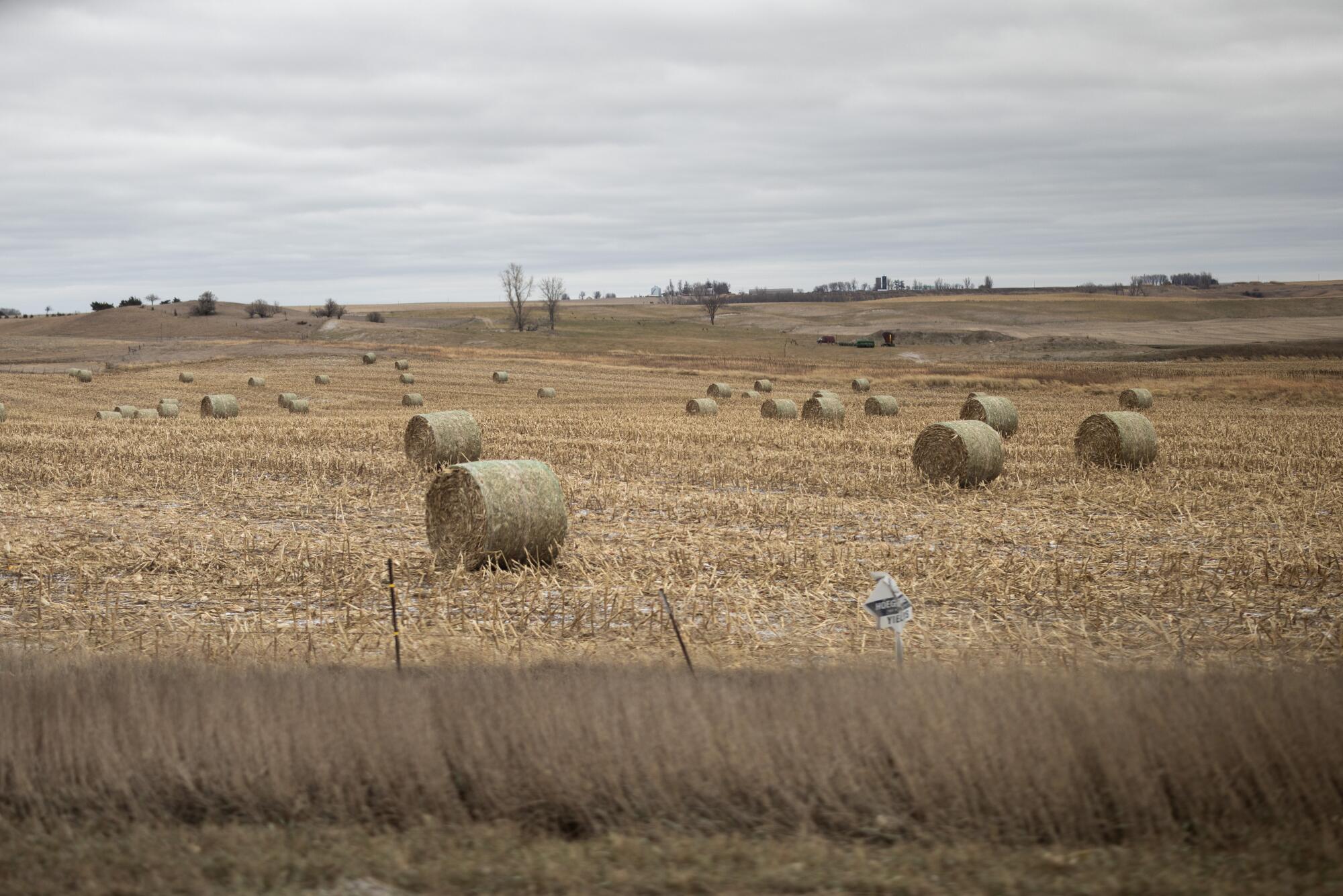 Rolls of hay on a flat landscape