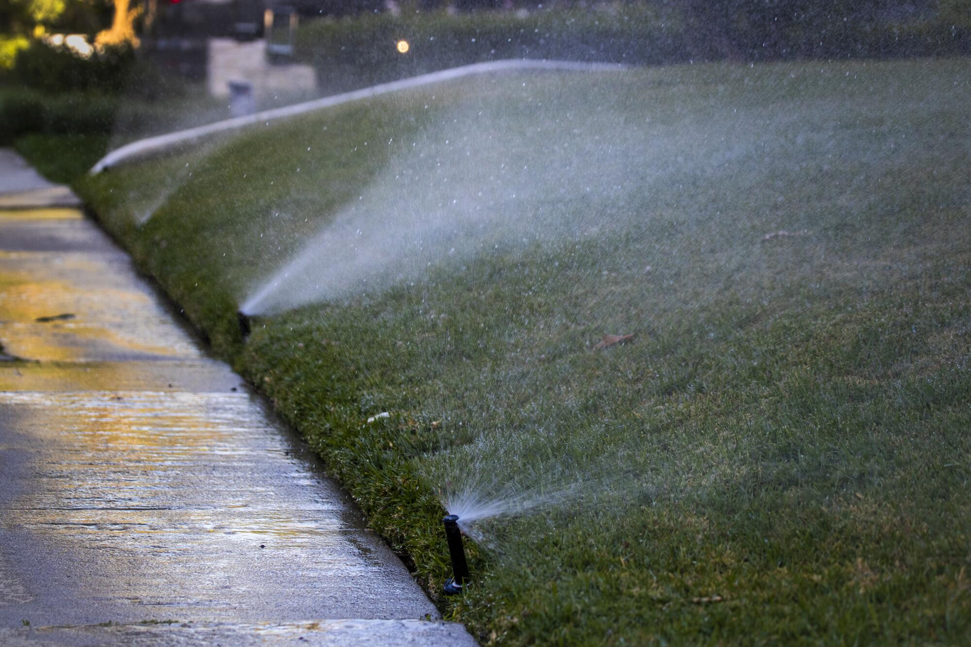 Sprinklers water a lawn.
