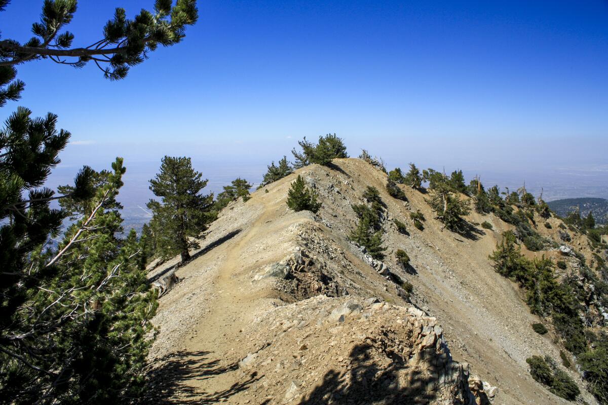 A photo showing the scenery from Mount Baden Powell.