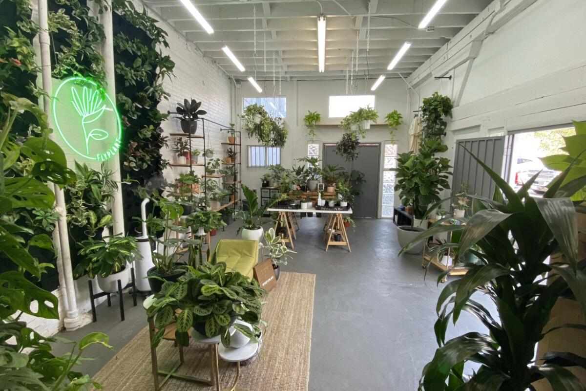 The Flyplant shop in downtown Los Angeles.