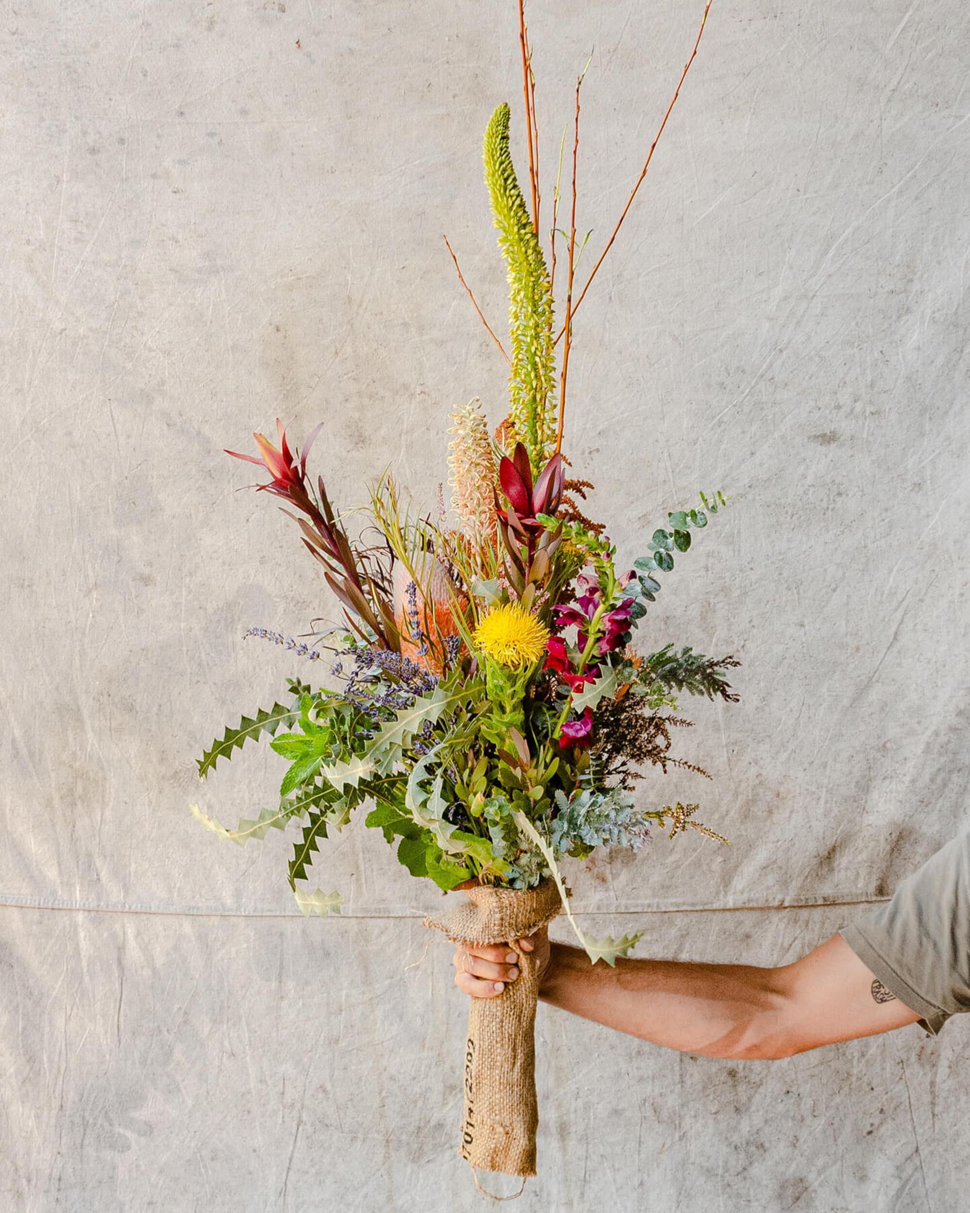Plants and bouquets delivered from Unlikely Florist.