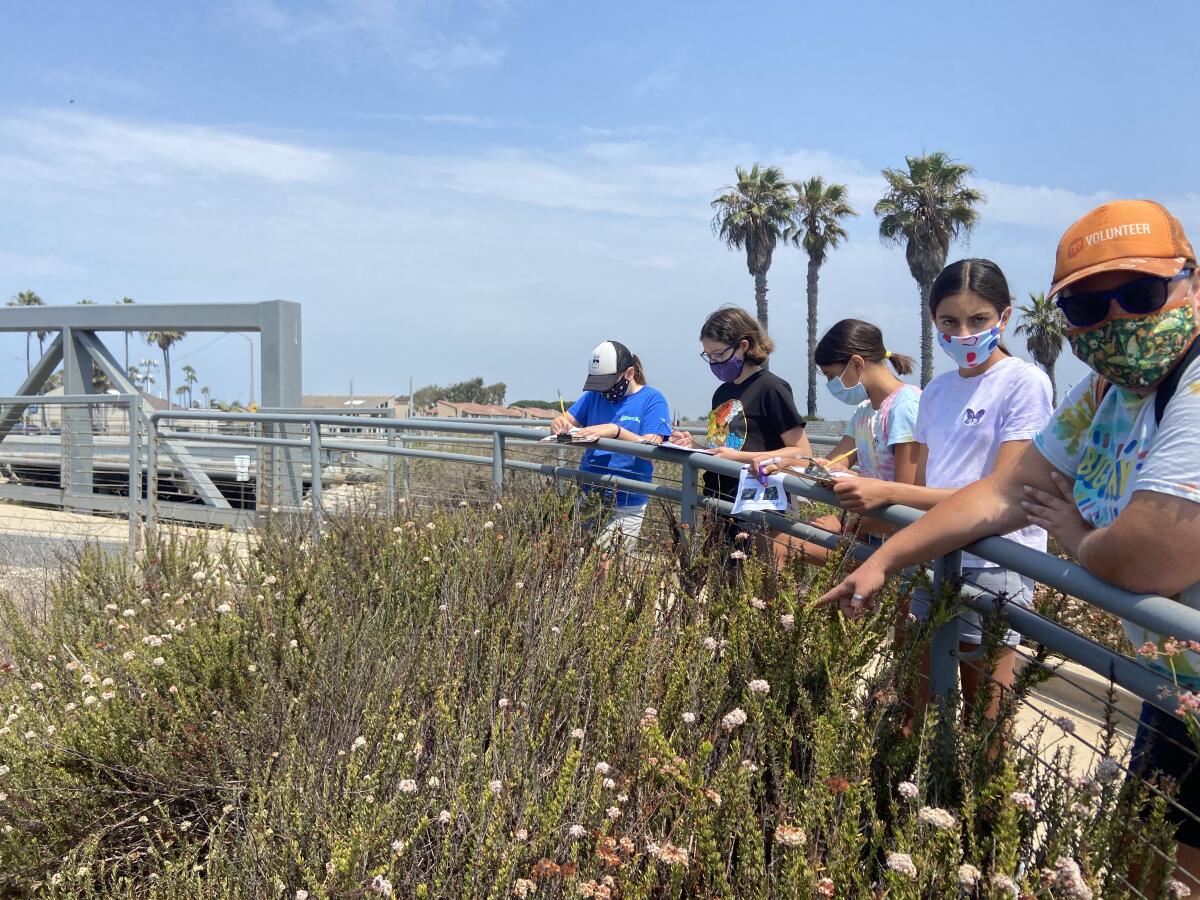 Students and volunteers participate in the Summer Wetland Program Explorers Program.
