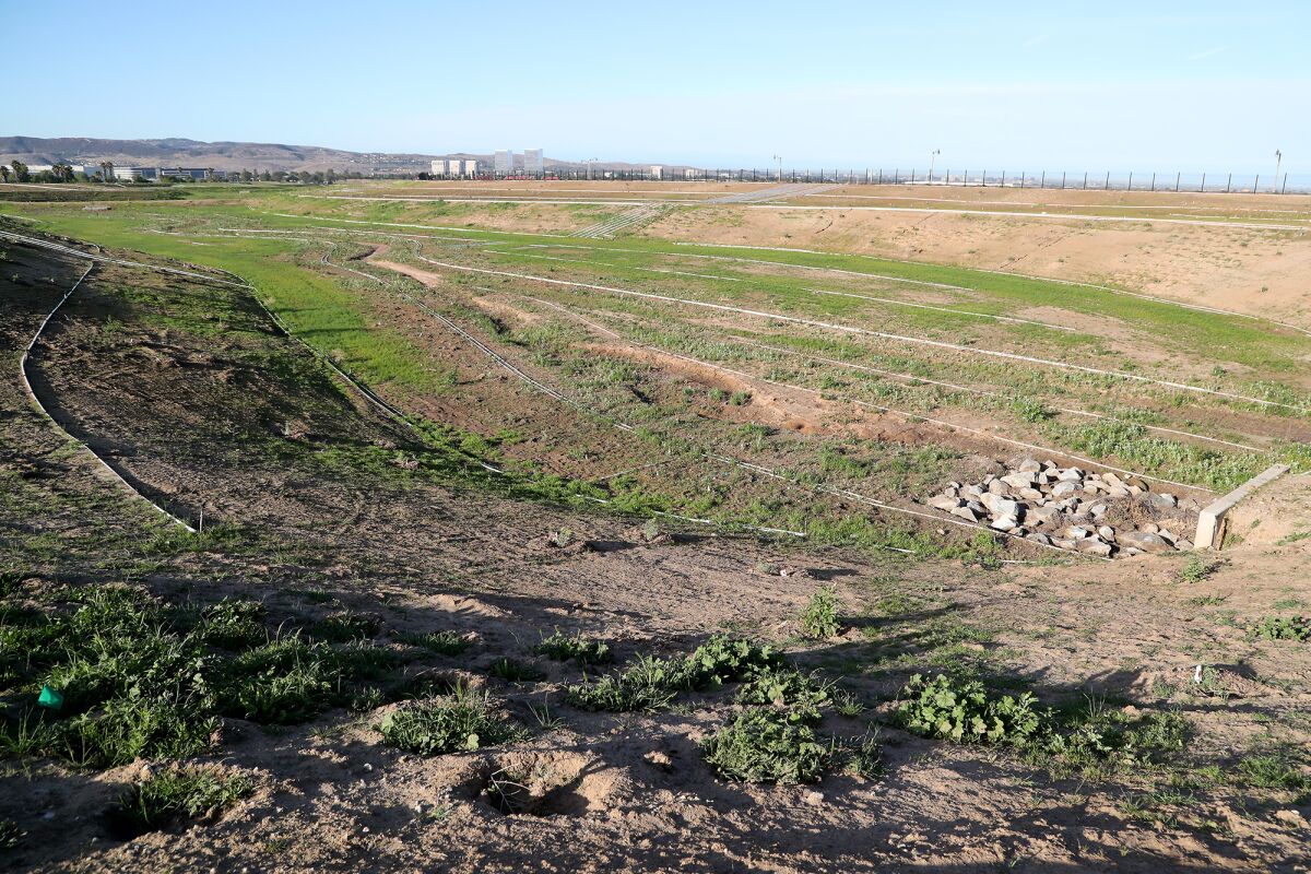The Lower Segment 2, south of Astor, of a wildlife corridor in Irvine.