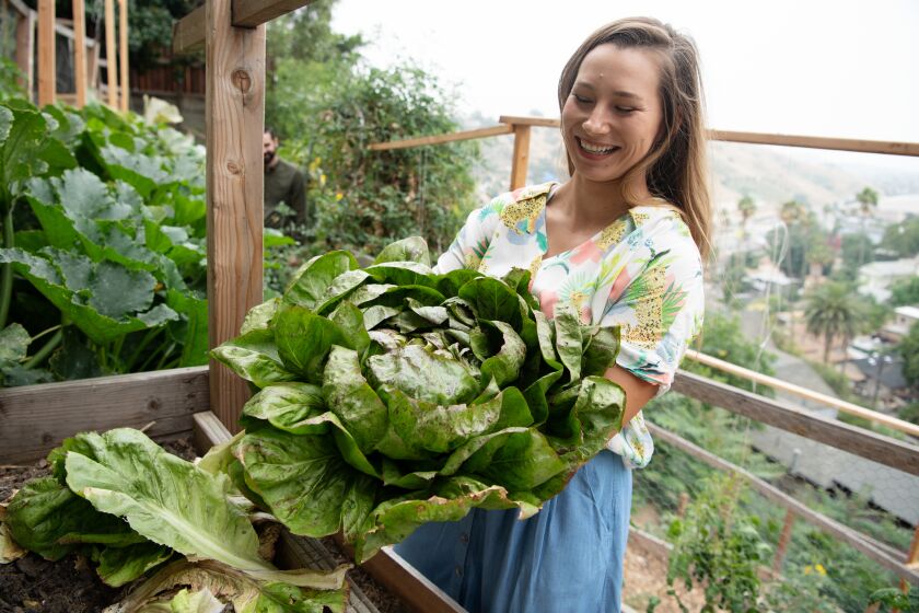 Joanna Bassi harvests some of her vegetables during a visit to Rose Hill Farm on Wednesday, June 19, 2019. What was once a weed and trash filled hillside behind her house, is now a flourishing vegetable garden and working farm. Bassi worked tirelessly for a year to create what is now known as Rose Hill Farm