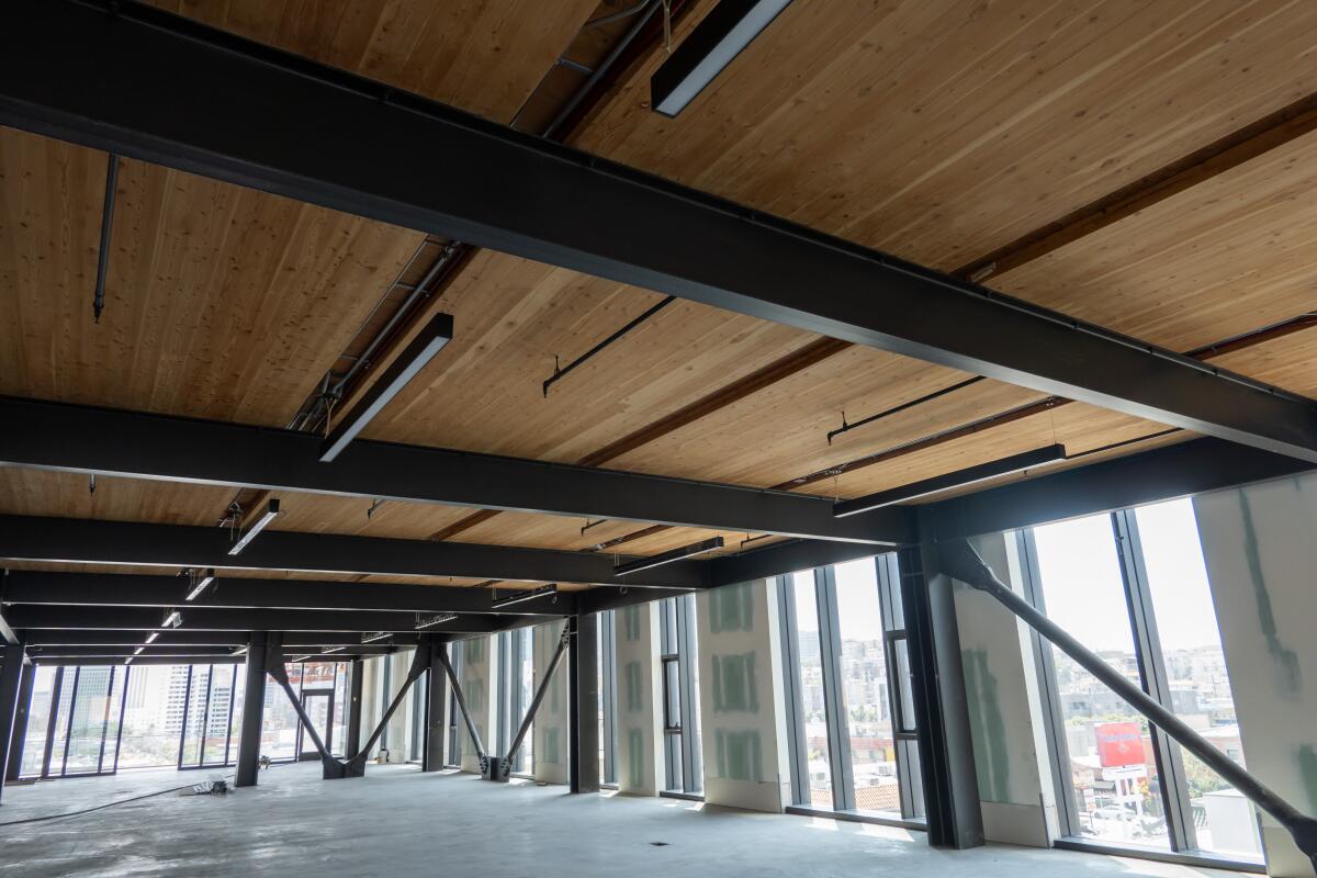 An empty loft office space is lined with ceiling made from large boards of mass timber
