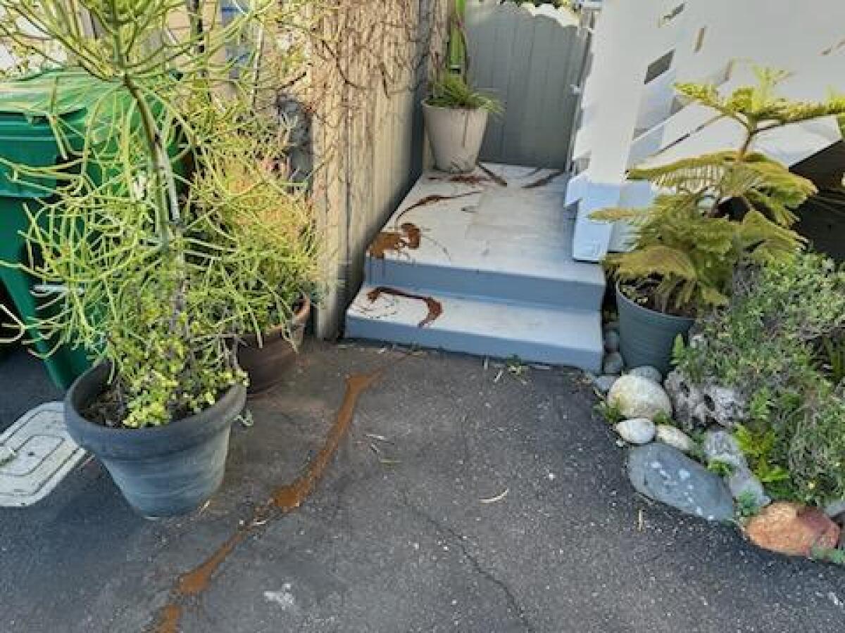 Sewage or feces outside City Manager Shohreh Dupuis' residence.