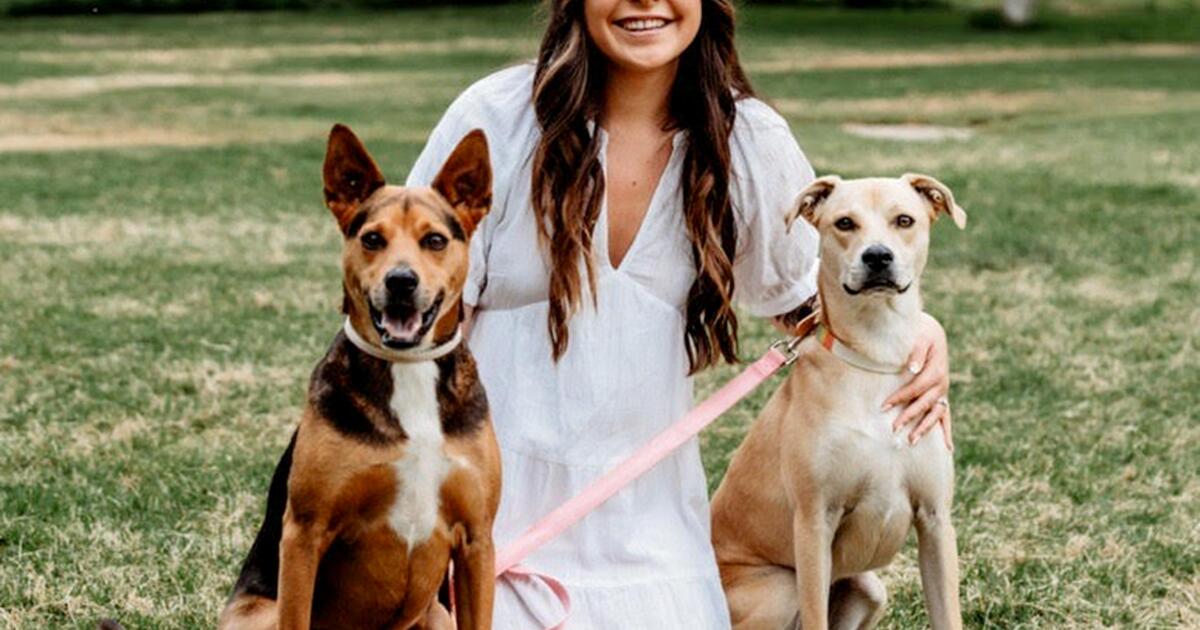 Pets are so important to San Diego workers that companies offer pet benefits Pets are so important to San Diego workers that companies offer pet benefits