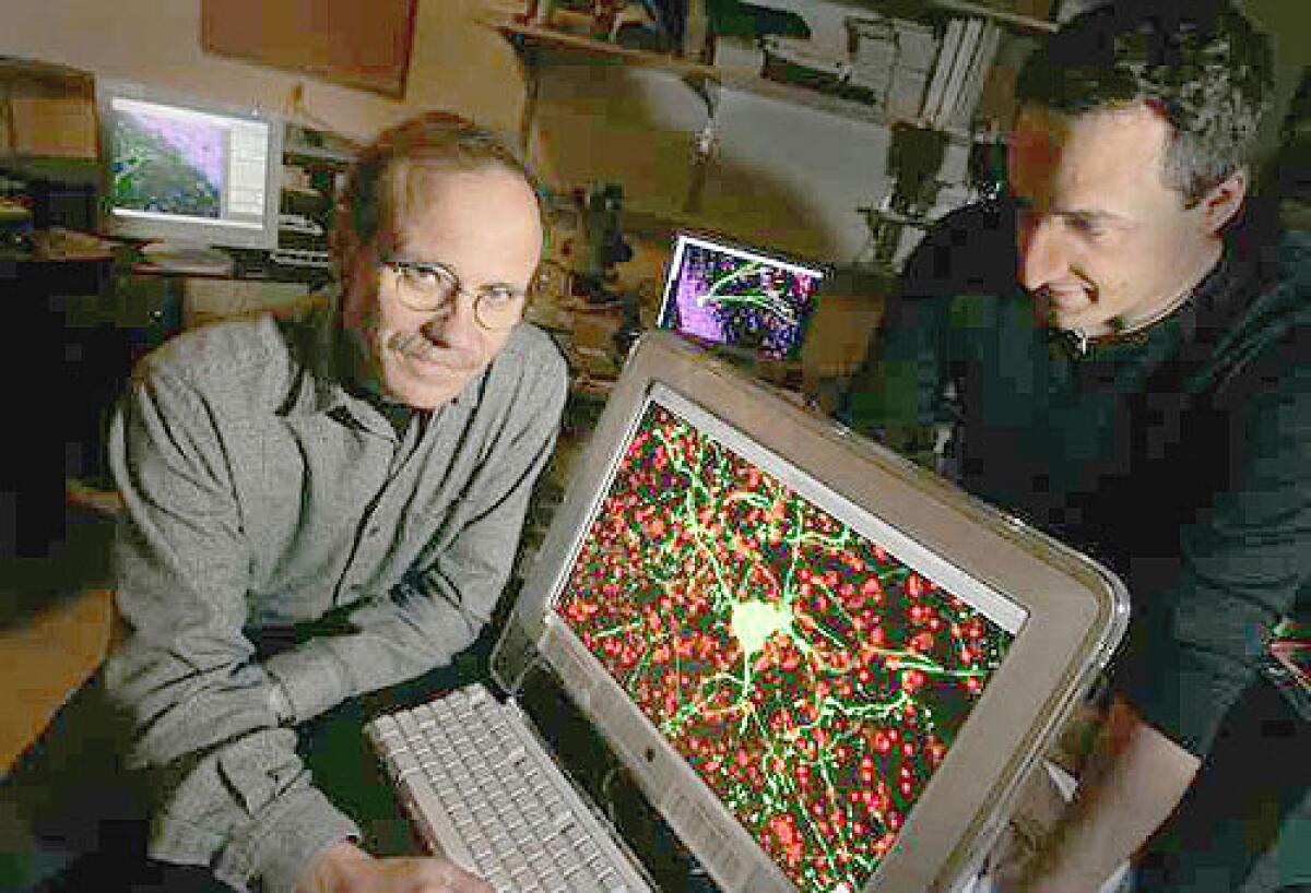 POINTS OF LIGHT: Neuroscientist Fred Gage, left, and cancer biologist Alysson Muotri of the Salk Institute for Biological Studies wondered what produces individuality. The computer screen shows photos of brain neurons, which evolve throughout life.